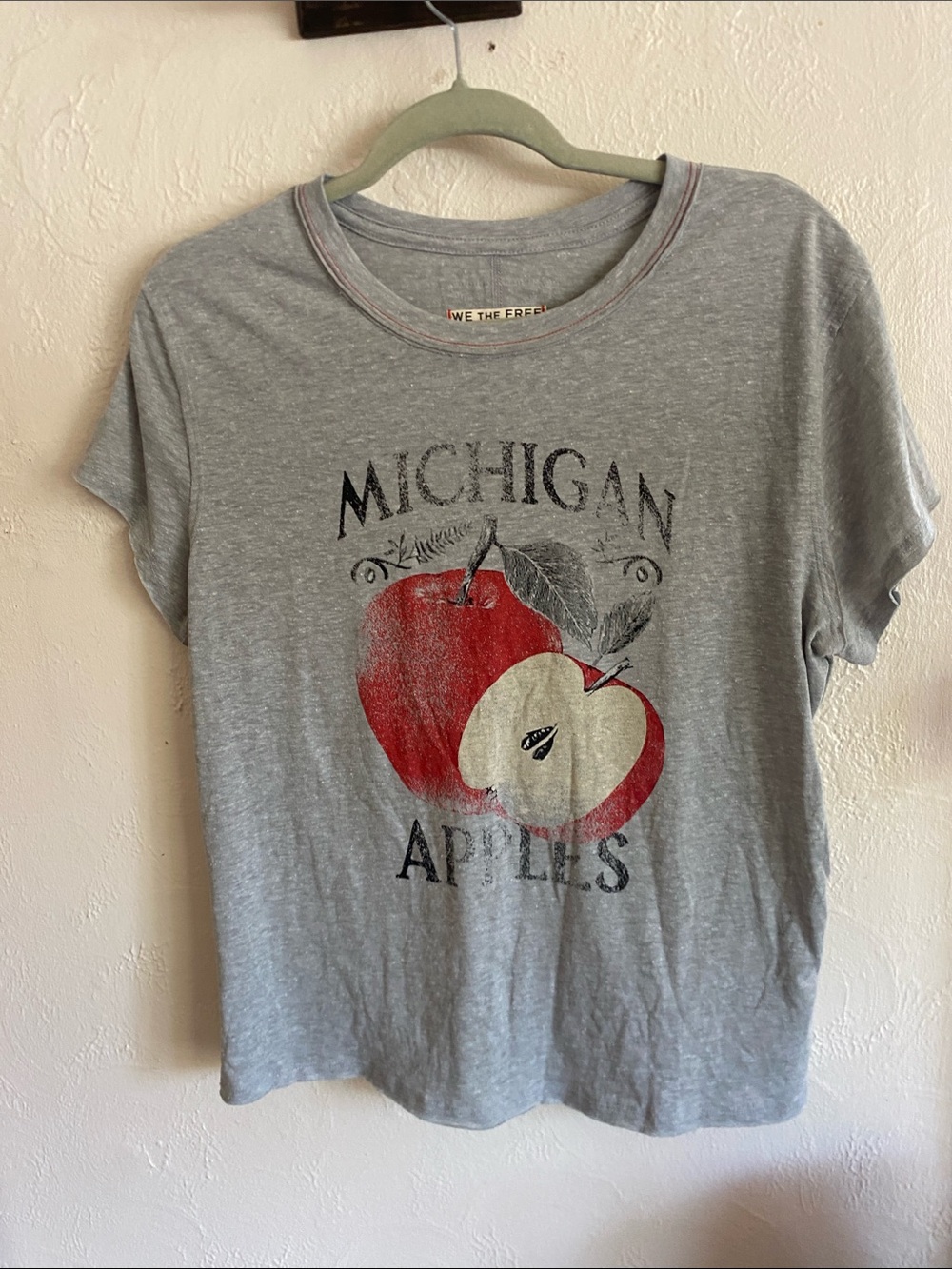 We The Free Heather Gray Michigan Apples Graphic Tee with Red Print